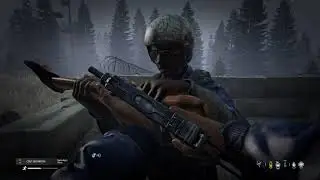 DAYZ ......