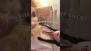 POV: você ama essas coisas