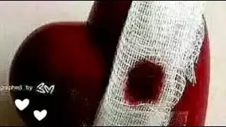 ❤️Мен сени севаман ❤️🤫Беном💯