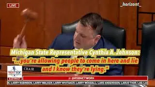 Michigan State Representative Cynthia A. Johnson bezeichnet sämtliche Zeugen als Lügner. Unfassbar.