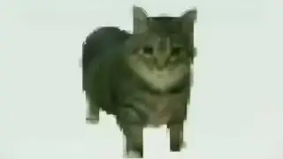 Goa Oiiaioooooiai