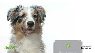Roomba i3 - робот пылесос IRobot
