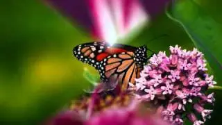 I'M OVER YOU......... Martine Mccutcheon,,,, with lyrics