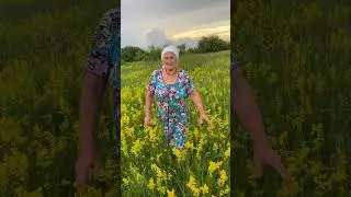 Чистопольская красавица в полях Аксубаевского района #тетушка #Аксубаево #Чистополь#лето #Татарстан
