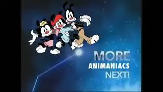 Animaniacs 2009 Nicktoons Bumpers (Weekend and Primetime)