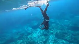 Exploring The Hawaiian Reef With Friends. Sacred site