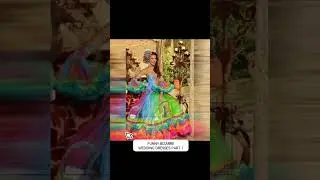 Funny Bizarre Wedding Dresses Part 1  short