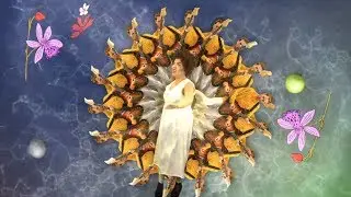 Weaves - Buttercup [OFFICIAL VIDEO]