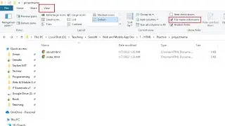 How to change the file extension | Text file to HTML file | Muhammad Umair Ahmad