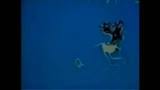 Radiohead - Everything in its right place (video)