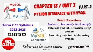 Chapter 13 Python Interface with SQL | Part 2 | fetchall, fetchone, fetchmany | Class 12 CS