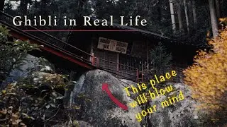 Exploring a REAL life Ghibli Movie | Rolleiflex, Panasonic S1