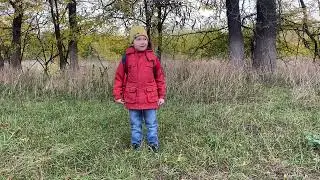 27 октября 2022 г.