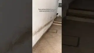 Solo unos pocos lo entenderán 