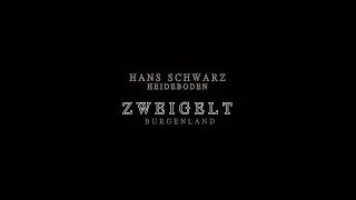 HANS SCHWARZ Zweigelt