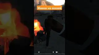 Все манки на маленьких оленей The Hunter Classic