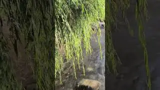 Таджикистан 🇹🇯 Норак