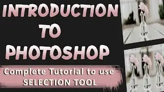 Photoshop introduction for beginners | Basic Selection in Photoshop | Adobe Photoshop tutorials
