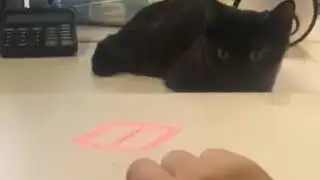 Why I can never finish my homework.