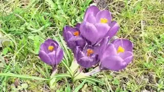 Healing in the River (70 minutes of music for meditation and prayer) (originals by Debbye Graafsma)