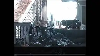 Me falling down the steps