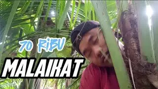 Di do'akan 70.000 malaikat
