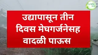 IMD rain alert उद्यापासून  मेघगर्जनेसह वादळी वाऱ्यासह जोरदार  पाऊस big breaking new