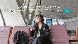 Из Кореи в Казахстан: впервые за 5 лет 🇰🇿 Новый айфон, подготовка к поездке, уютные домашние деньки