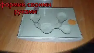 Как сделать формикарий за 100 рублей?