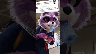 why don't furries just go to the gym instead?? 