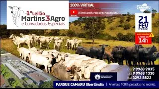 LEILÃO CAMARU - 1º LEILÃO MARTINS 3 AGRO E CONVIDADOS ESPECIAIS - 21/02/2021