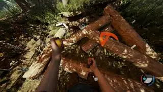 İlk kez Forest oynamak :)