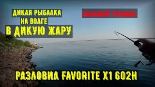 Рыбалка на Волге/большой голавль/приманки воблеры, блёсна/обрыбил Favorite X1-602H