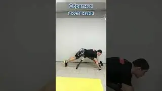 обратная екстензия, укрепление поясницы. здровая спина.