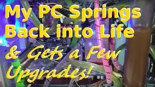 My Old, Dead PC Sprung Back into Life & Receives Upgrades.