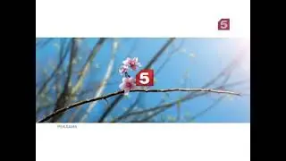 Весенняя заставка 5 канал (05-2011)