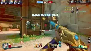 Paladins hitboxes be like