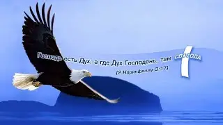 Свидетельства после служения в Церкви Божьей Воронеж