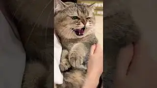 Esa mirada de 'No más dedos, por favor' 😂✋