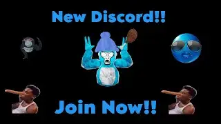 Explaining me and my partners Discord!!