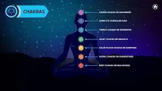 DUBAI EXPO 2020 | India Pavilion | Ayush - Yoga and Chakras