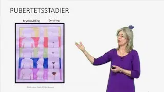Kvinnens biologiske utvikling