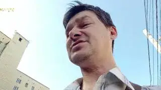 прогулка в парке.  весной  берёза упала