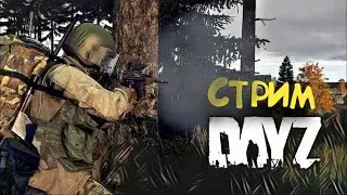 ⚜ DAYZ ⚜ | ВЕЧЕРНИЙ СТРИМ | НАГИБ или СЛИВ