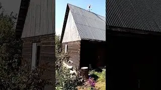 21 августа 2024_Дача_Нет Воды_Низкое напряжение в электричестве #дача #новогорбоводеревня