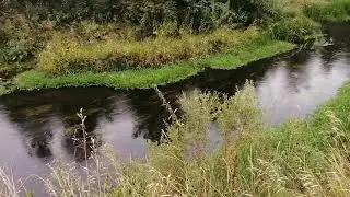 Место детства. Река Плава в деревне Бабурино