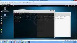 No interface(Kali Linux)