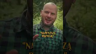 Co to znaczy być "samcem alfa"?