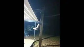 Can Dad get a muscle up PR on his 44th birthday?