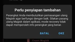 How to Fix Bug Requires Additional Setup in Magisk